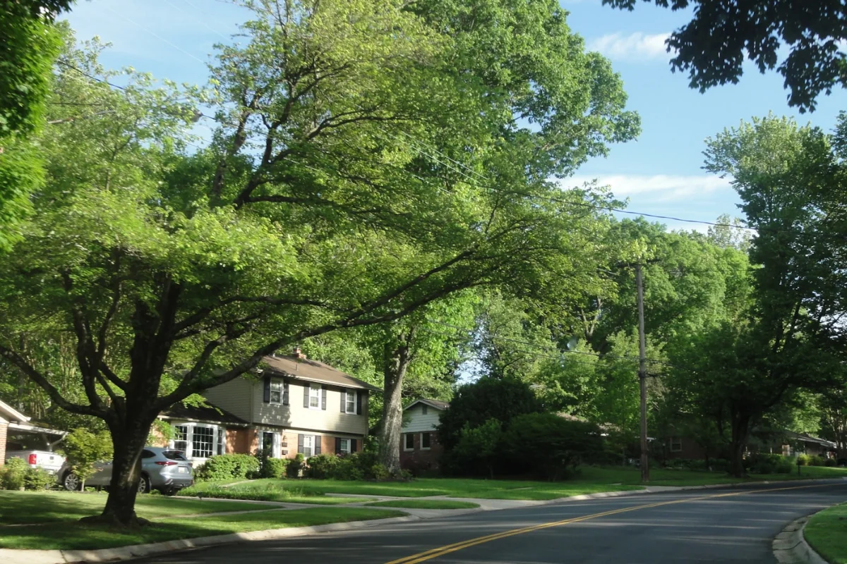 Tree-lined suburban residential neighborhood with manicured lawns and homes in Middle Georgia